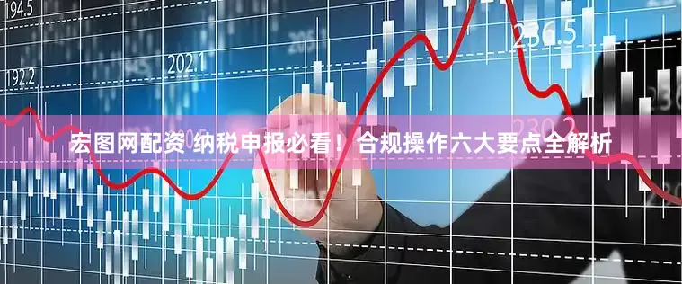 宏图网配资 纳税申报必看！合规操作六大要点全解析
