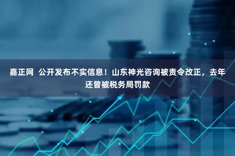 嘉正网  公开发布不实信息！山东神光咨询被责令改正，去年还曾被税务局罚款