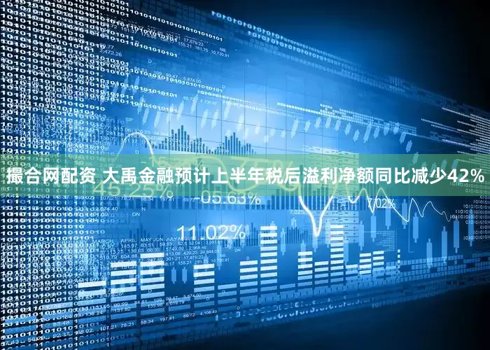 撮合网配资 大禹金融预计上半年税后溢利净额同比减少42%