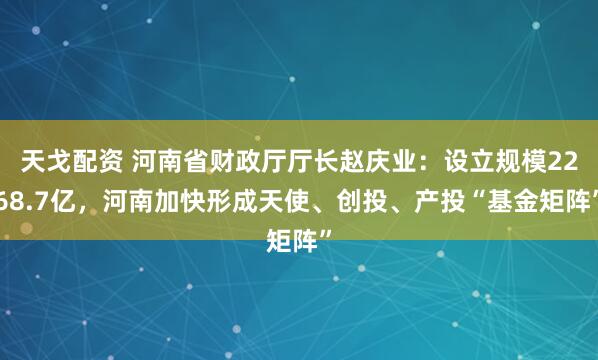 天戈配资 河南省财政厅厅长赵庆业:设立规模2268.7亿,河南加快形成天使、创投、产投“基金矩阵”